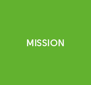 Strategi, Mission Og Vision